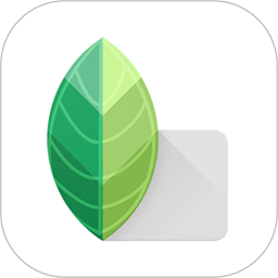 snapsee最新版 snapsee最新版