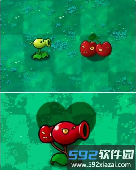 爆炸豌豆植物 樱桃炸弹射手