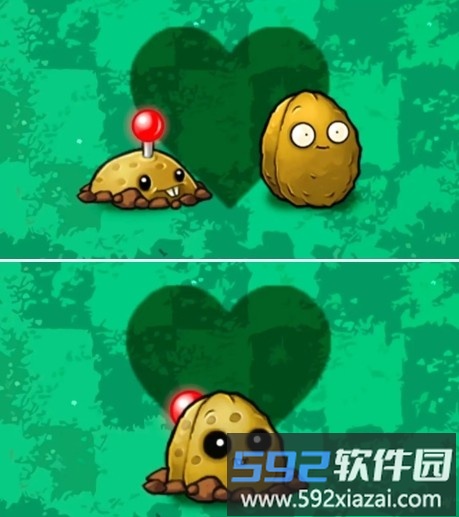 自爆防御植物 土豆坚果墙