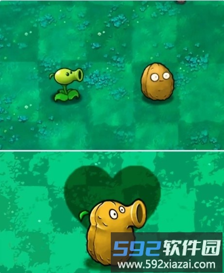 攻守兼备植物 豌豆坚果墙