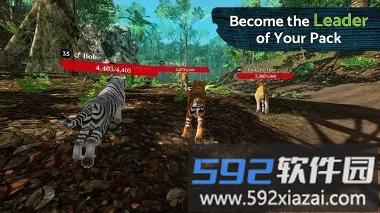 the tiger最新版截图3