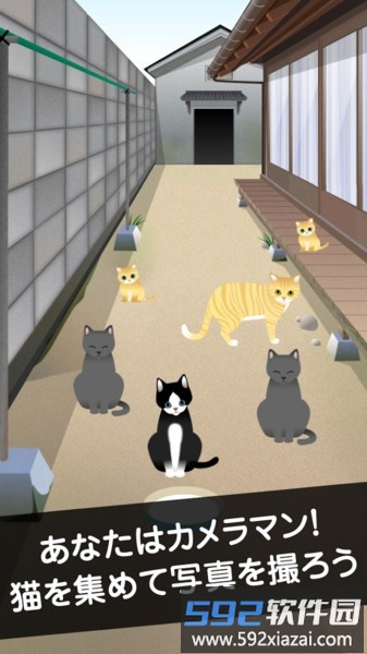 可爱猫咪满满中文版截图1