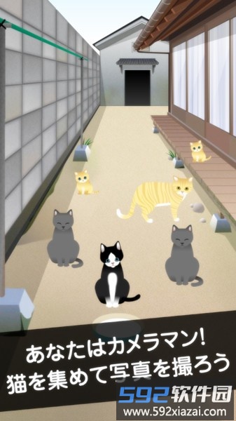 可爱猫咪满满中文版截图4