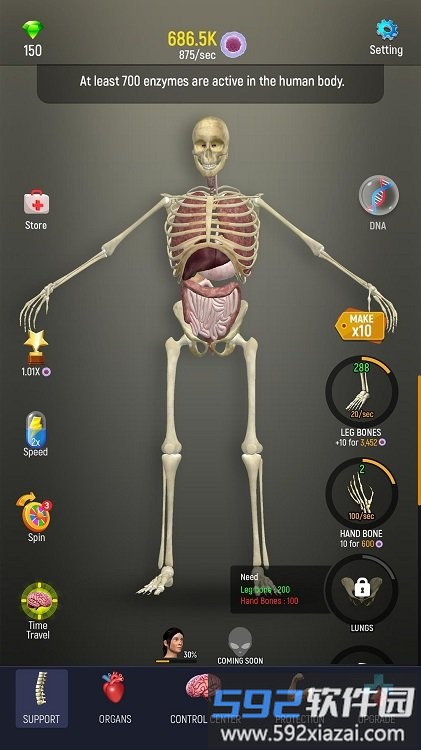 立体解剖模拟器