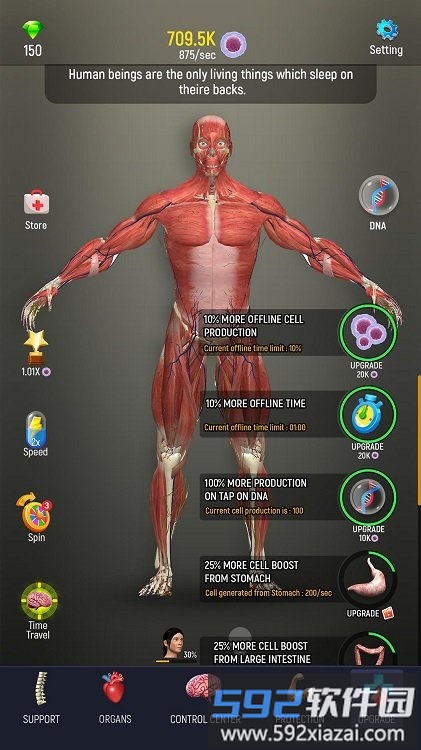 放置人体模型官方版截图3