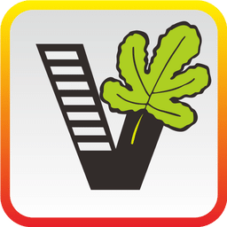 51自学网官方网站app 