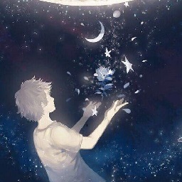 口袋妖怪星空版安卓免实名版