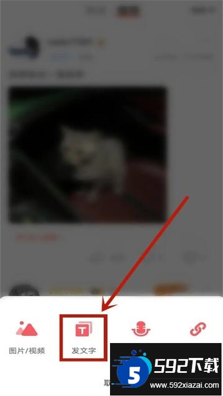 Nico多元人格交友app手机版