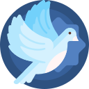 熊盒子白鸽软件库app手机版