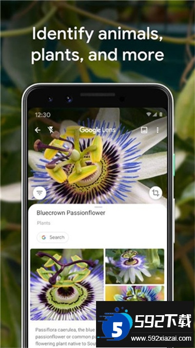 谷歌只能镜头下载最新版本