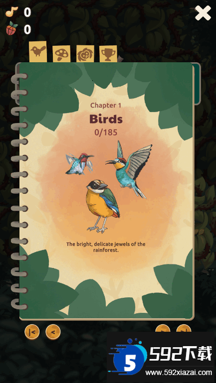 鸟类世界(Bird Kind)国际服截图1