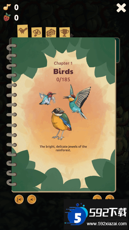 鸟类世界(Bird Kind)国际服截图2