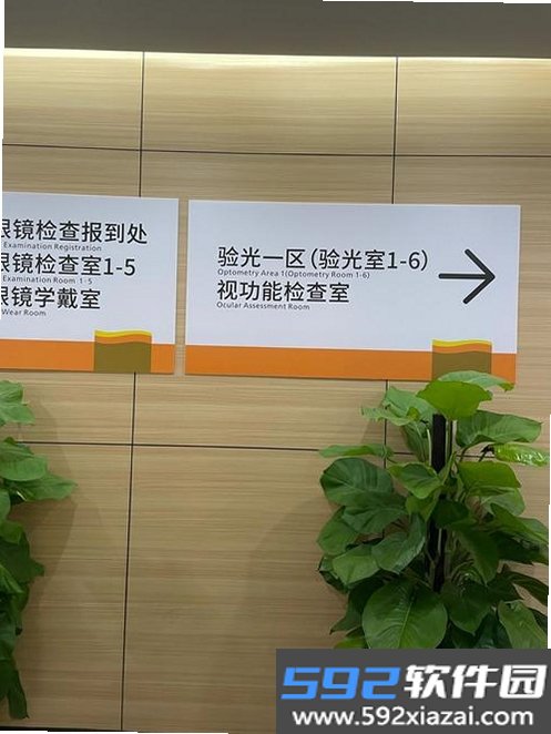 中山眼科中心截图7