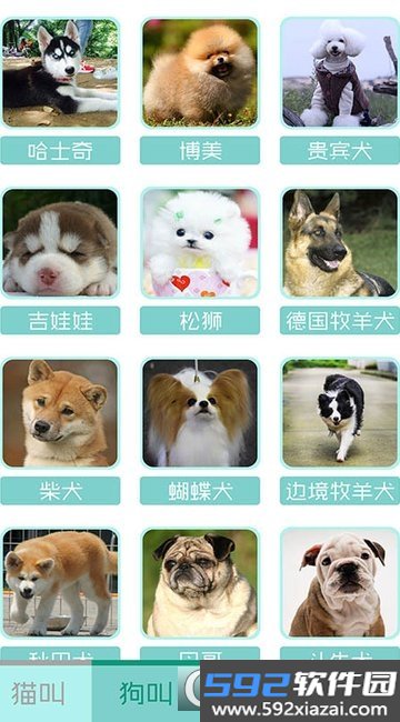 猫叫狗叫声模拟器app截图2