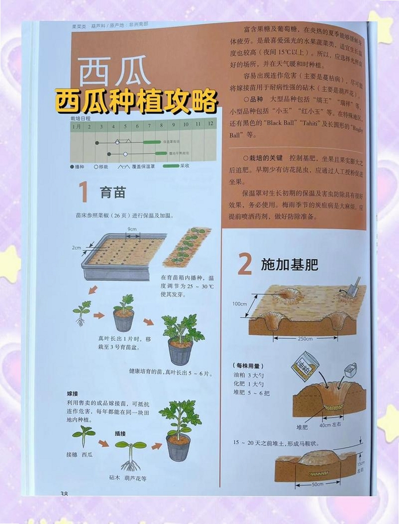招财的小院截图1