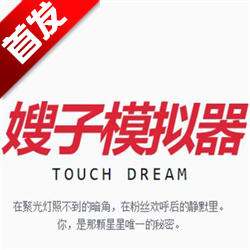 韩娱嫂子模拟器