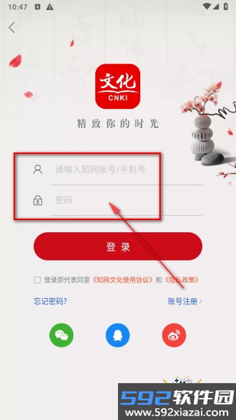 知网文化