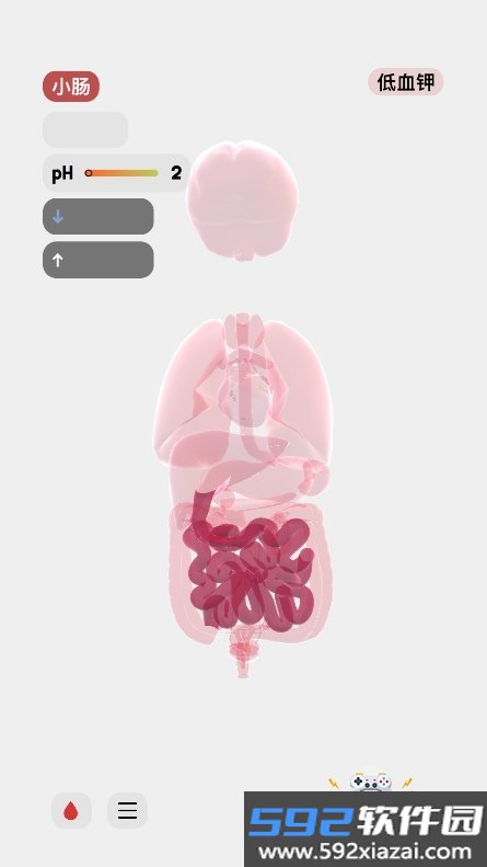 生命life汉化版游戏下载截图5