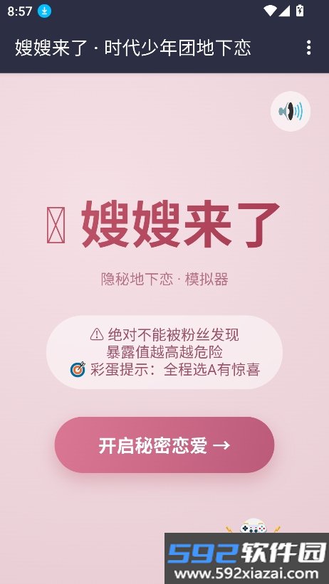 时代少年团嫂嫂来了模拟器下载截图7