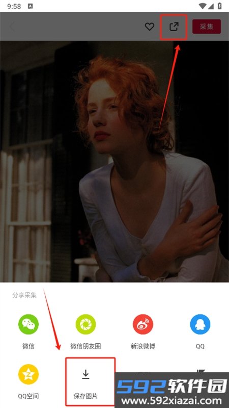 花瓣网app安卓手机版截图4