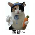 蒸蚌管家电视版
