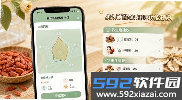 素灵新解
