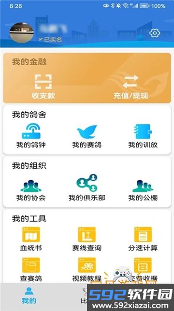 鸽小宝