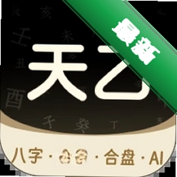 天乙八字排盘