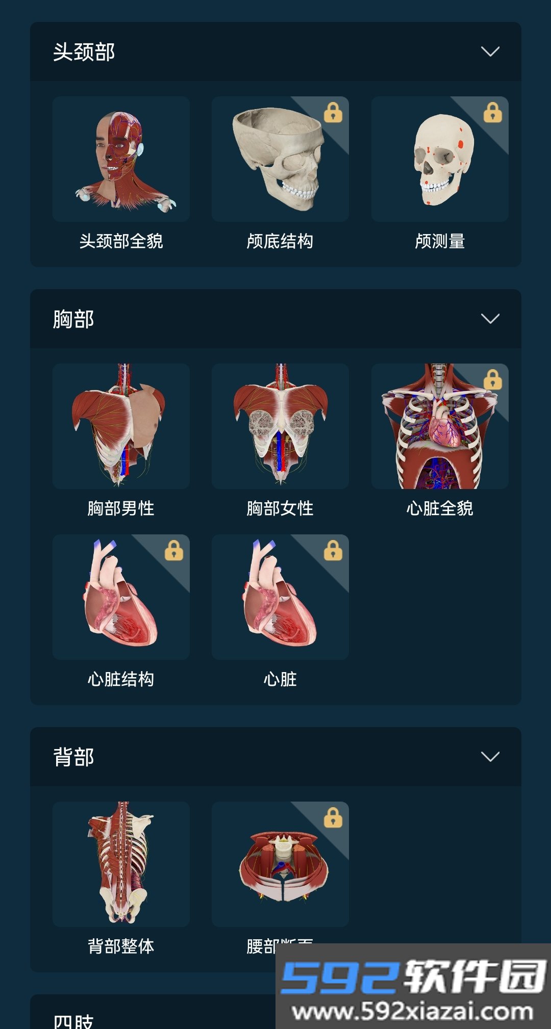 解剖大师