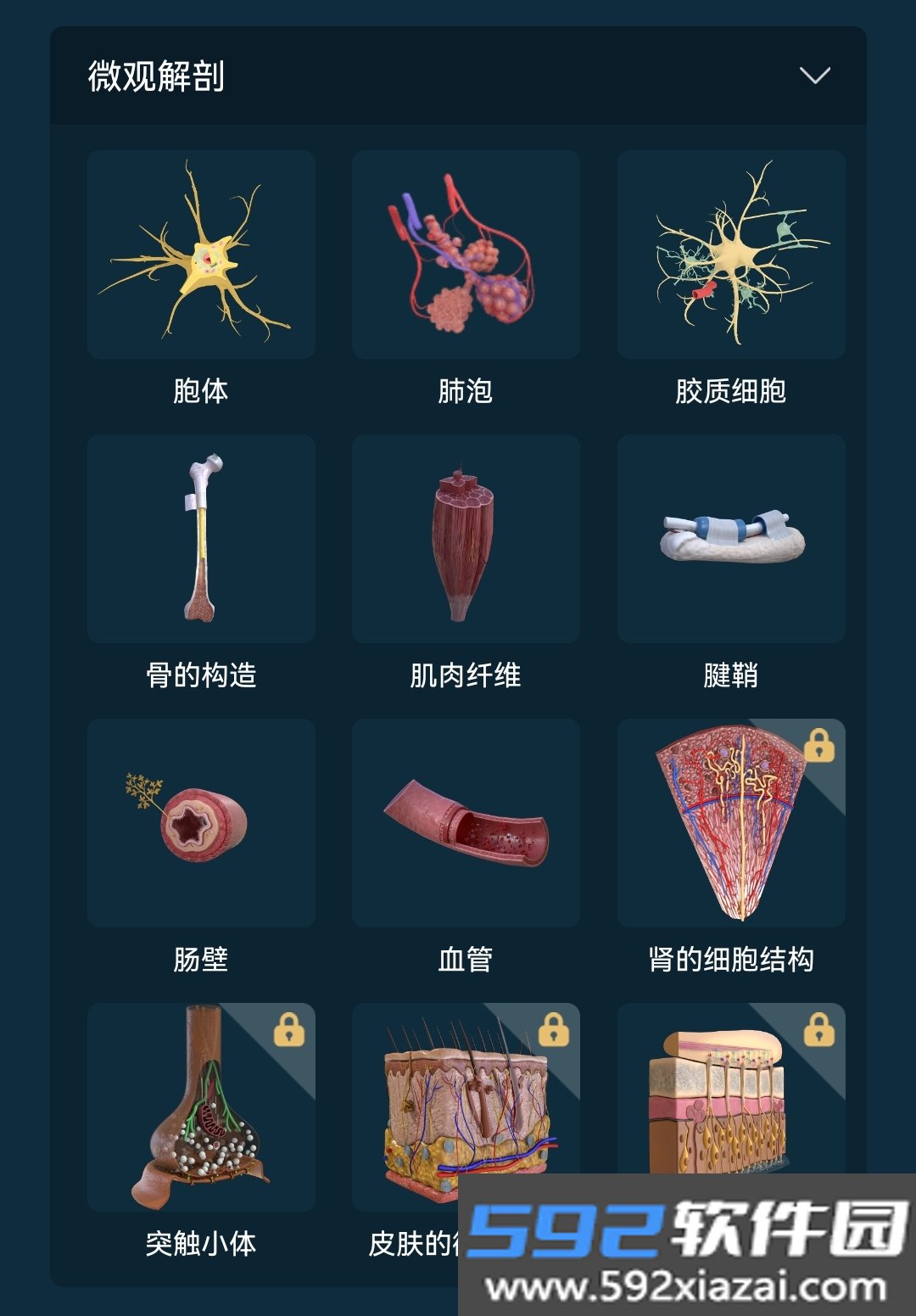 解剖大师截图0