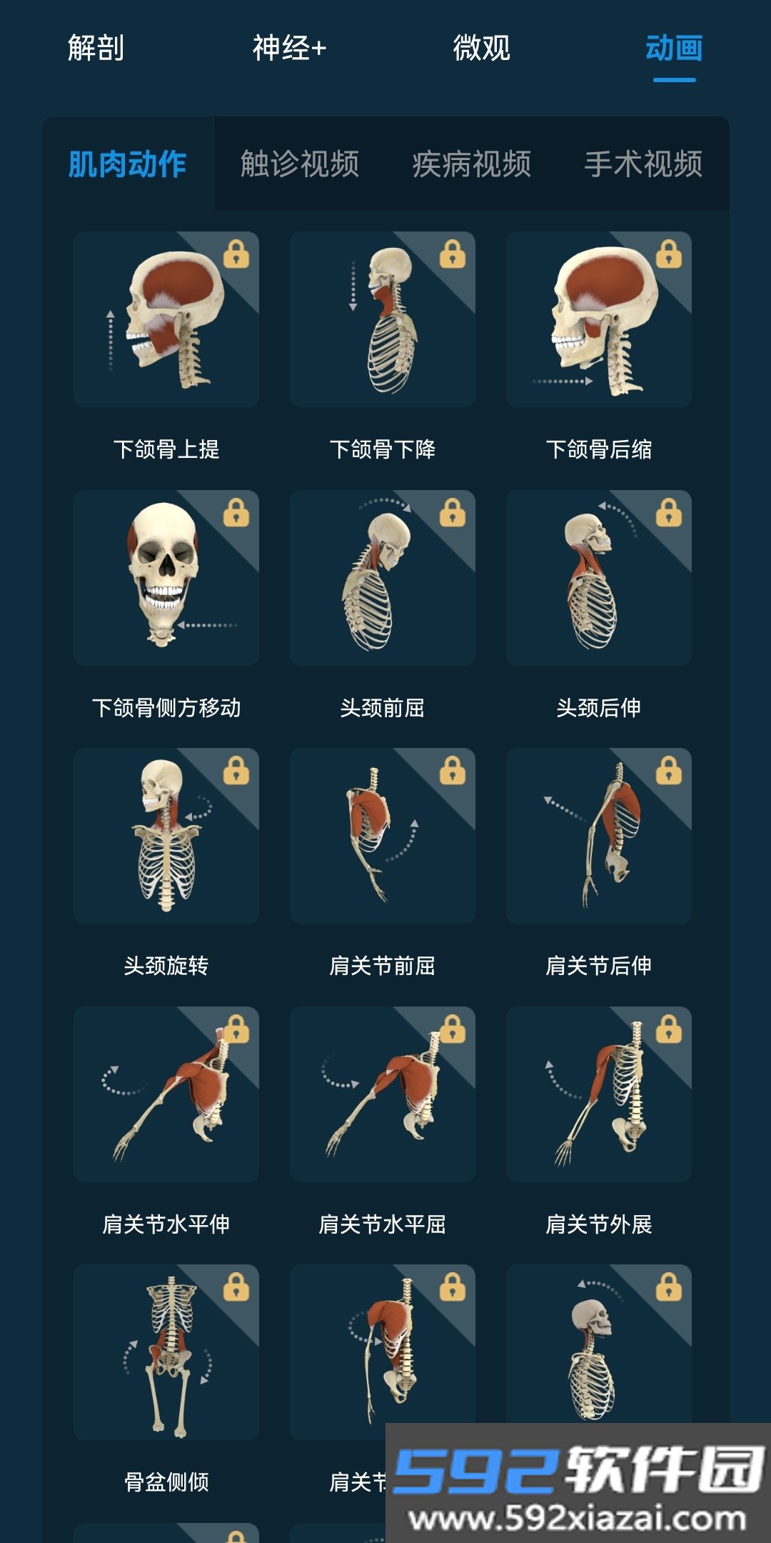 解剖大师截图1