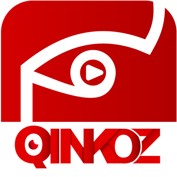 qinkoz下载最新版本2026