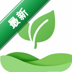 体检报告健康分析助手