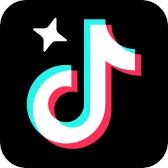TikTok Pro国际版下载