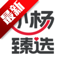 小杨臻选