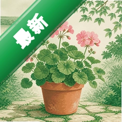 花园小院
