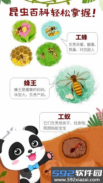 宝宝巴士奇妙昆虫世界小游戏截图1
