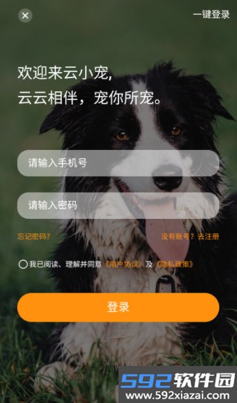 云小宠app