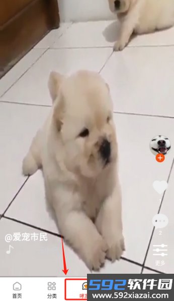 云小宠app截图2