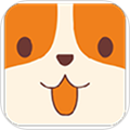 云小宠app