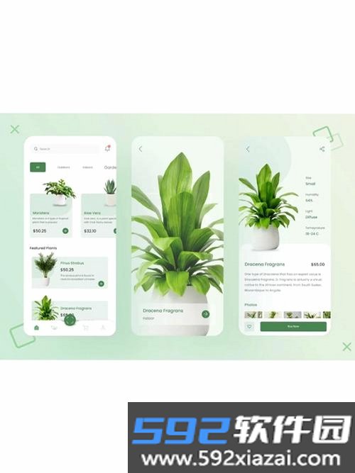 美丽花截图7