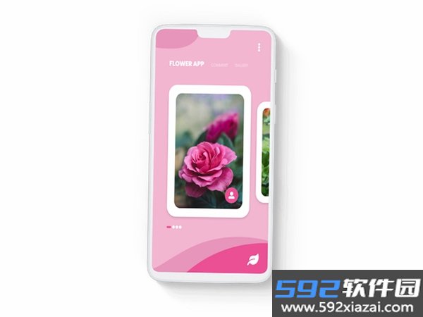 美丽花截图9