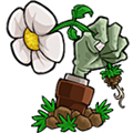 植物大战僵尸仿E版支线安卓版