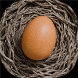 蛋之旅中文安卓版下载免费版（Egg Journey）