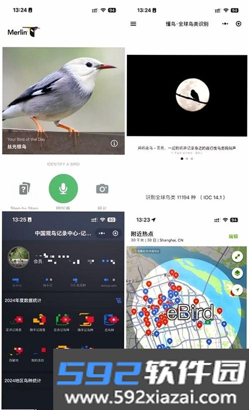 免鸟截图2