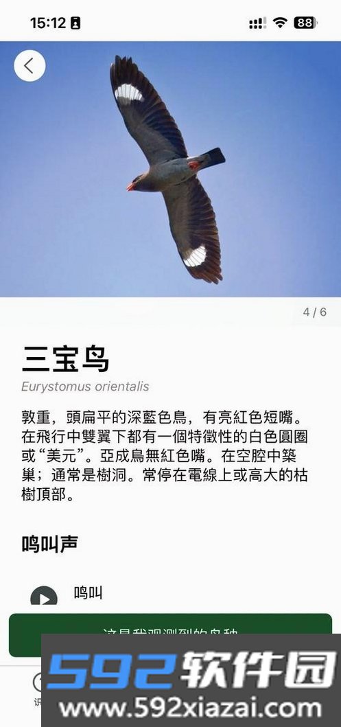 免鸟截图5