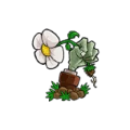 植物大战僵尸住宅保卫战手机版最新版