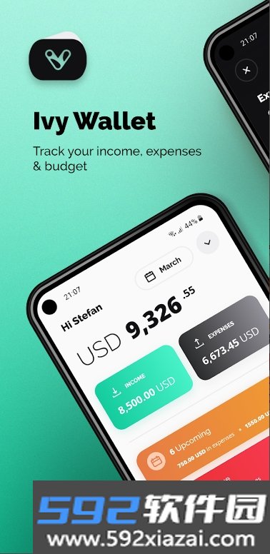 Ivy Wallet