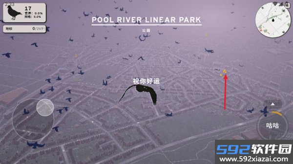 鸽子爱情故事官方版截图4