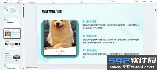 MeowMatch截图5